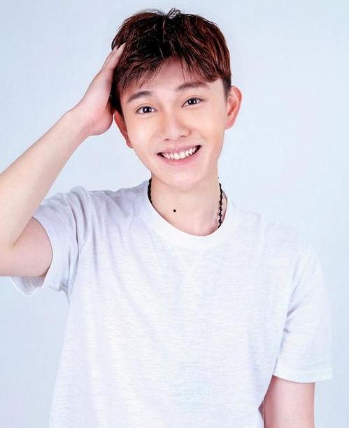 张之航个人资料简介,才华横溢的青年才俊,揭秘他的成长之路